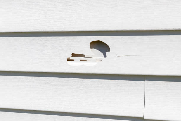 Best Hoarding Cleanup  in Beecher, MI