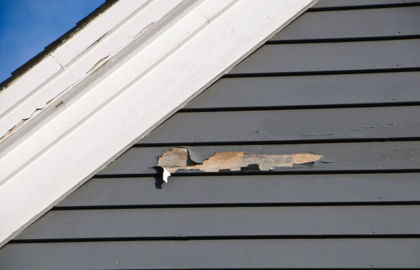 Best Demolition Debris Removal  in Beecher, MI